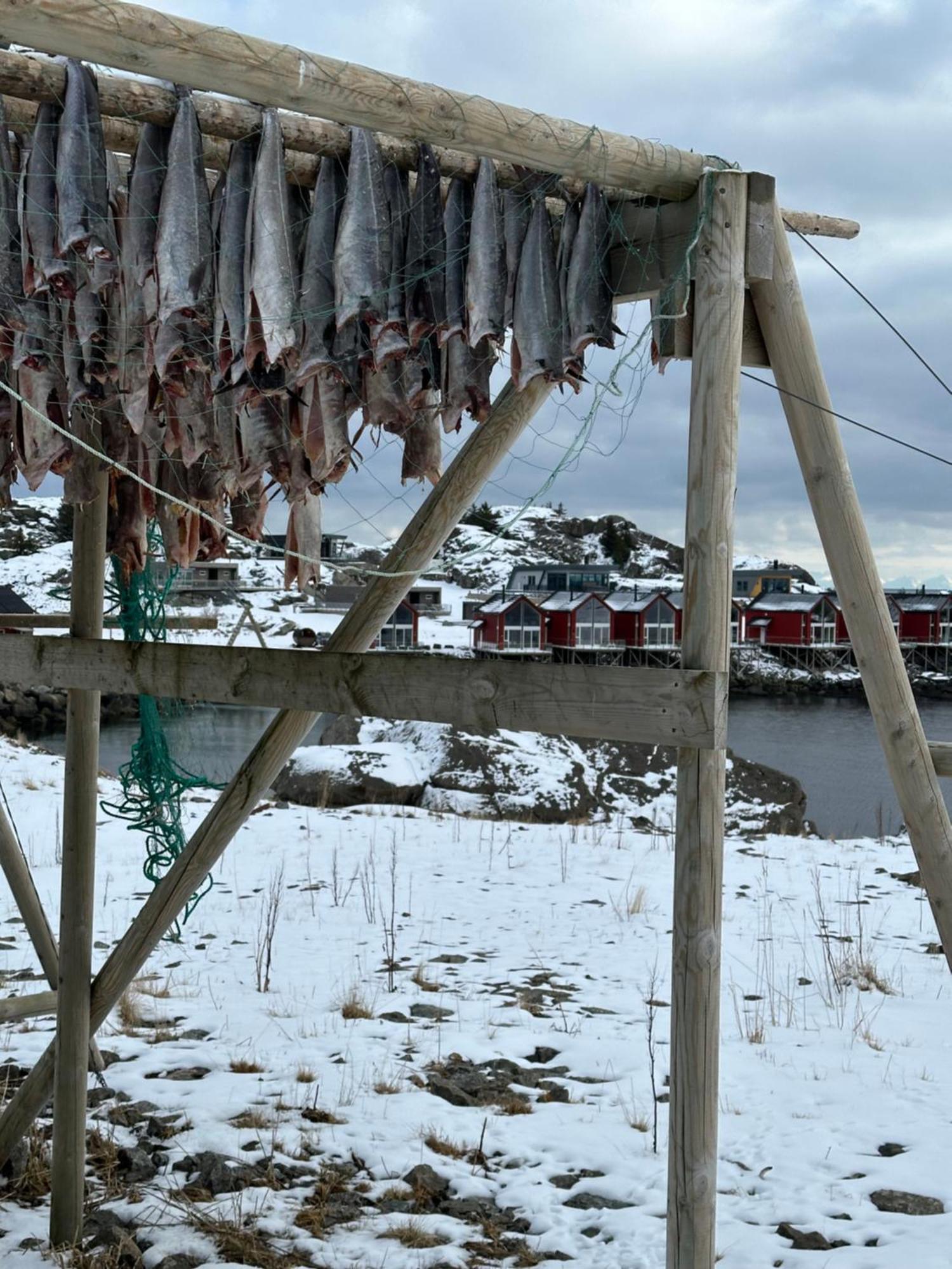 Superior Cabin Ballstad Lofoten Екстер'єр фото