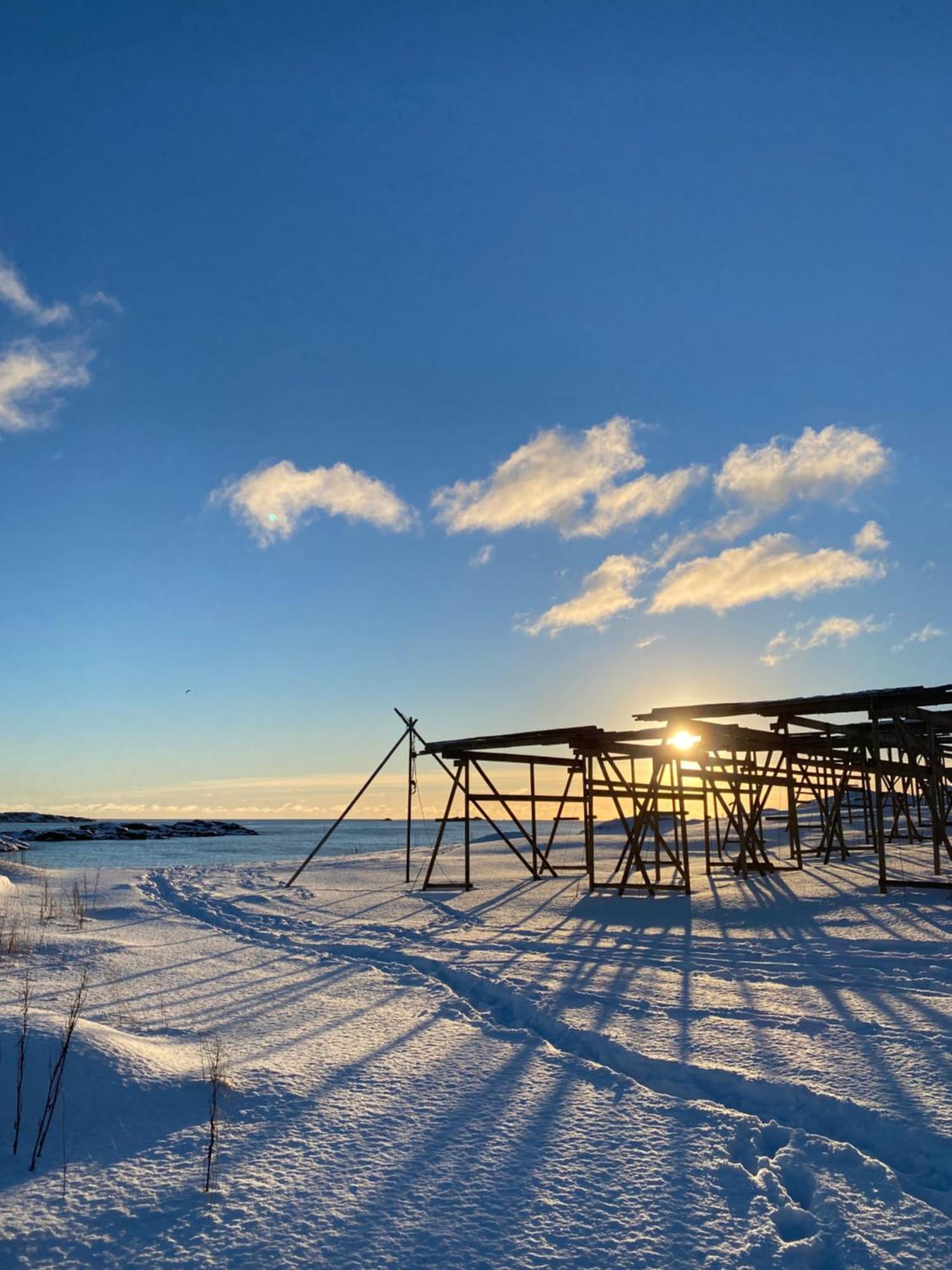 Superior Cabin Ballstad Lofoten Екстер'єр фото